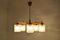 Mid-Century Chandelier from Drevo Humpolec, 1960s 3