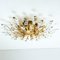 Crystal and Gilded Brass Italian Flushmount / Sconce from Stilkronen 11