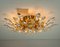 Crystal and Gilded Brass Italian Flushmount / Sconce from Stilkronen 14