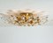 Crystal and Gilded Brass Italian Flushmount / Sconce from Stilkronen 9