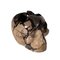Géode en Marbre Skull-Septaria, 20ème Siècle 1