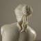 Escultura de mármol Venus de Milo, siglo XX, Imagen 4