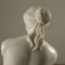 Sculpture en Marbre Venus De Milo, 20ème Siècle 4