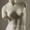 Escultura de mármol Venus de Milo, siglo XX, Imagen 5