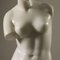 Marble Sculpture Venus De Milo, 20th Century 5