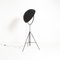 Black Fortuny Floor Lamp by Mariano Fortuny for Pallucco 10