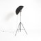 Black Fortuny Floor Lamp by Mariano Fortuny for Pallucco 11