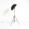 Black Fortuny Floor Lamp by Mariano Fortuny for Pallucco, Image 11