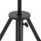 Black Fortuny Floor Lamp by Mariano Fortuny for Pallucco 19