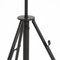 Black Fortuny Floor Lamp by Mariano Fortuny for Pallucco 22