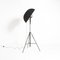 Black Fortuny Floor Lamp by Mariano Fortuny for Pallucco, Image 9