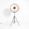 Black Fortuny Floor Lamp by Mariano Fortuny for Pallucco 5