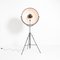 Black Fortuny Floor Lamp by Mariano Fortuny for Pallucco, Image 5