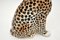 Escultura de leopardo vintage grande de porcelana, años 70, Imagen 8