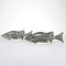 Mid-Century Modern Acrylic Glass Fish by Abraham Palatnik, Set of 2 3