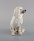 White Poodle Porcelain Figurine from Royal Copenhagen, 1920s 3