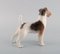 Wire Hair Fox Terrier Porcelain Figurine from Royal Copenhagen, 1920s 3