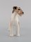 Figurine Fox Terrier en Porcelaine et Fils de Royal Copenhagen, 1920s 2