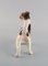 Figurine Fox Terrier en Porcelaine et Fils de Royal Copenhagen, 1920s 4