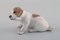 Figura Puppet Puppy de porcelana de Royal Copenhagen, años 20, Imagen 2