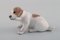 Figurine Chiot Pointer en Porcelaine de Royal Copenhagen, 1920s 2