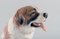 Große St. Bernard Hund Porzellan Figur von Bing & Grondahl 3
