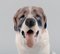 Große St. Bernard Hund Porzellan Figur von Bing & Grondahl 5