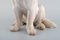 Große St. Bernard Hund Porzellan Figur von Bing & Grondahl 6