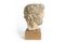 Escultura de cabeza romana, siglo 16, arenisca, Imagen 2