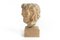 Escultura de cabeza romana, siglo 16, arenisca, Imagen 8
