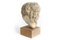 Escultura de cabeza romana, siglo 16, arenisca, Imagen 10