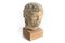 Escultura de cabeza romana, siglo 16, arenisca, Imagen 4