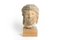 Escultura de cabeza romana, siglo 16, arenisca, Imagen 3