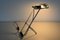 Italian Table Lamp by Ernesto Gismondi for Artemide, 1976 12