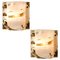 Murano Glass and Brass Sconces by J. T. Kalmar, Austria, 1960s, Set of 2, Image 1