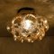 Amber Bubble Flush Mount / Sconce by Helena Tynell, 1960s 15