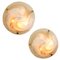 Brass and Murano Glass Wall Lights / Flush Mounts, 1960s, Set of 2 11