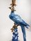 Gilt Brass Porcelain Parrot Standing Candlesticks, Set of 2, Image 11