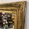 Mirror in Antique Decorated Gold 14