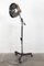 Medical Floor Lamp, 1950s 10