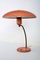 Mid-Century Modernist Table Lamp by Louis Kalff for Philips 1