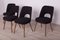 Dining Chairs by Oswald Haerdtl for TON, 1960s, Set of 4, Image 2
