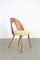 Mid-Century Restored Dining Chair from Tatra, 1960s 1