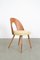 Mid-Century Restored Dining Chair from Tatra, 1960s, Image 1