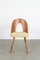 Mid-Century Restored Dining Chair from Tatra, 1960s 2