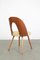 Mid-Century Restored Dining Chair from Tatra, 1960s, Image 3