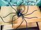 Mid-Century Italian Modern Metal and Glass Spider Wall Lamp, 1950s 18