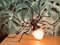 Moderne Italienische Mid-Century Spider Wandlampe aus Metall & Glas, 1950er 6