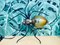 Moderne Italienische Mid-Century Spider Wandlampe aus Metall & Glas, 1950er 5