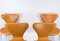 Model 3107 Chairs by Arne Jacobsen, Set of 4, Image 12